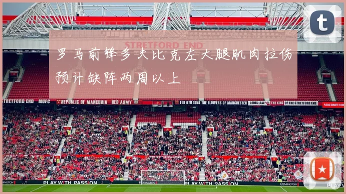 罗马前锋多夫比克左大腿肌肉拉伤预计缺阵两周以上