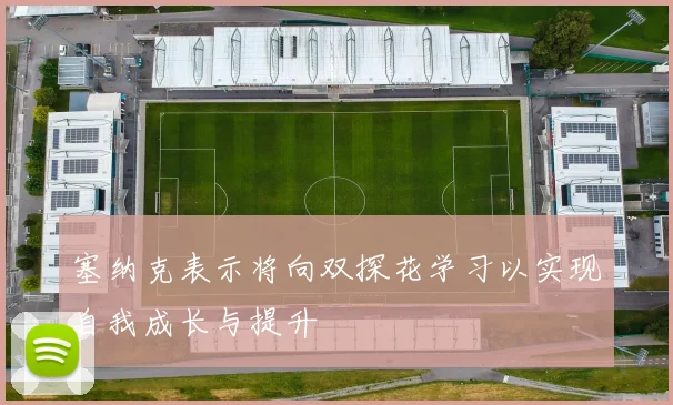 塞纳克表示将向双探花学习以实现自我成长与提升